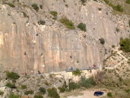 Mula Antigua serie-2